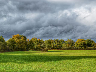 Navigating Seasonal Changes: Health Tips from Traditional Chinese Medicine
