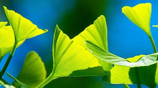BioImmersion has great products for you! Save 5% when you use this link!