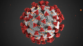 The Impact of Vaccination on Immunity to Viral Variants