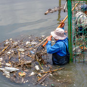 Understanding Neoepitopes: Understanding How Environmental Health Matters