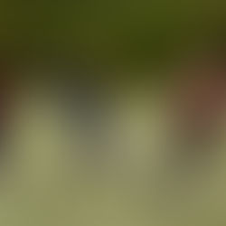 Unlocking Athletic Potential: How Acupuncture Can Benefit High School Sports Teams