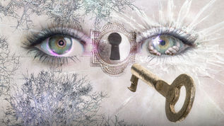 What is Holographic Anatomy?