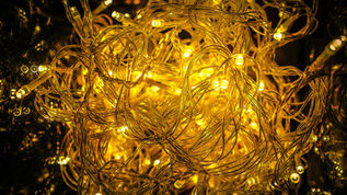 Acupuncture and Its Role in Regulating Inflammation of the Vagus Nerve
