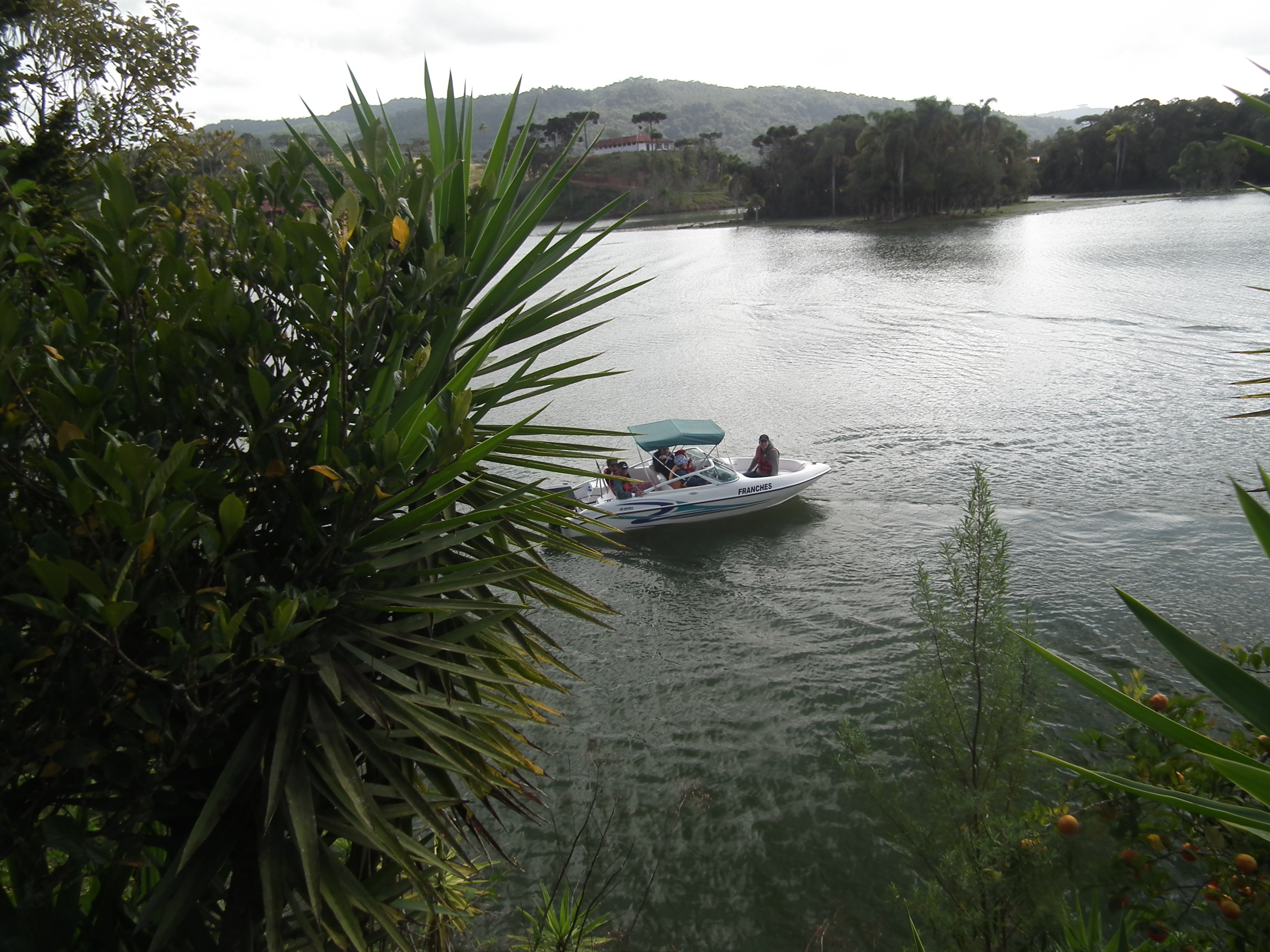 Passeios de Barco