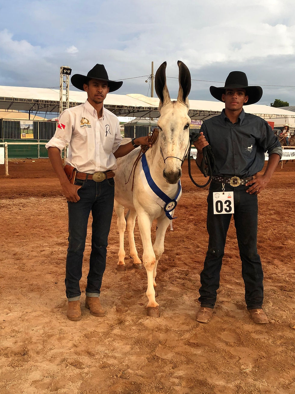 DIFERENCIADO, champion national à Ipora au Brésil à ses 2 ans !