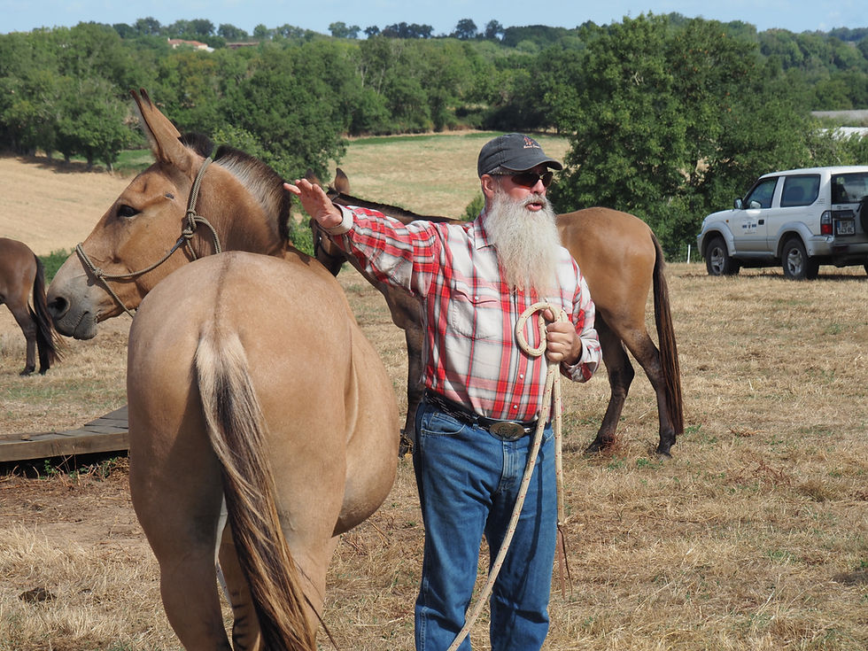 Bob et Latigo des grandes Z'Oreilles