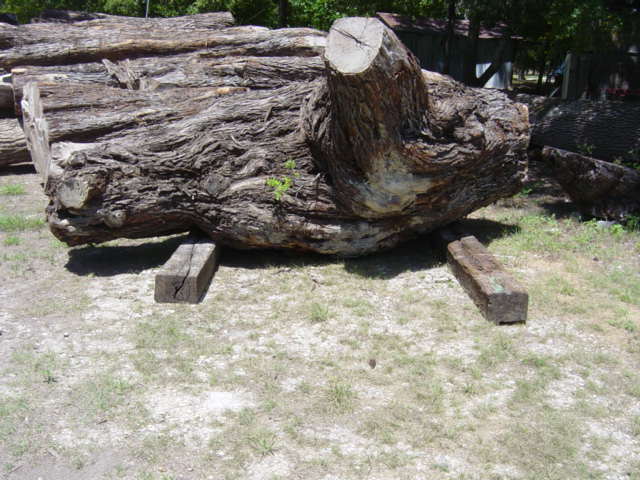 Mesquite, logs2069.jpg