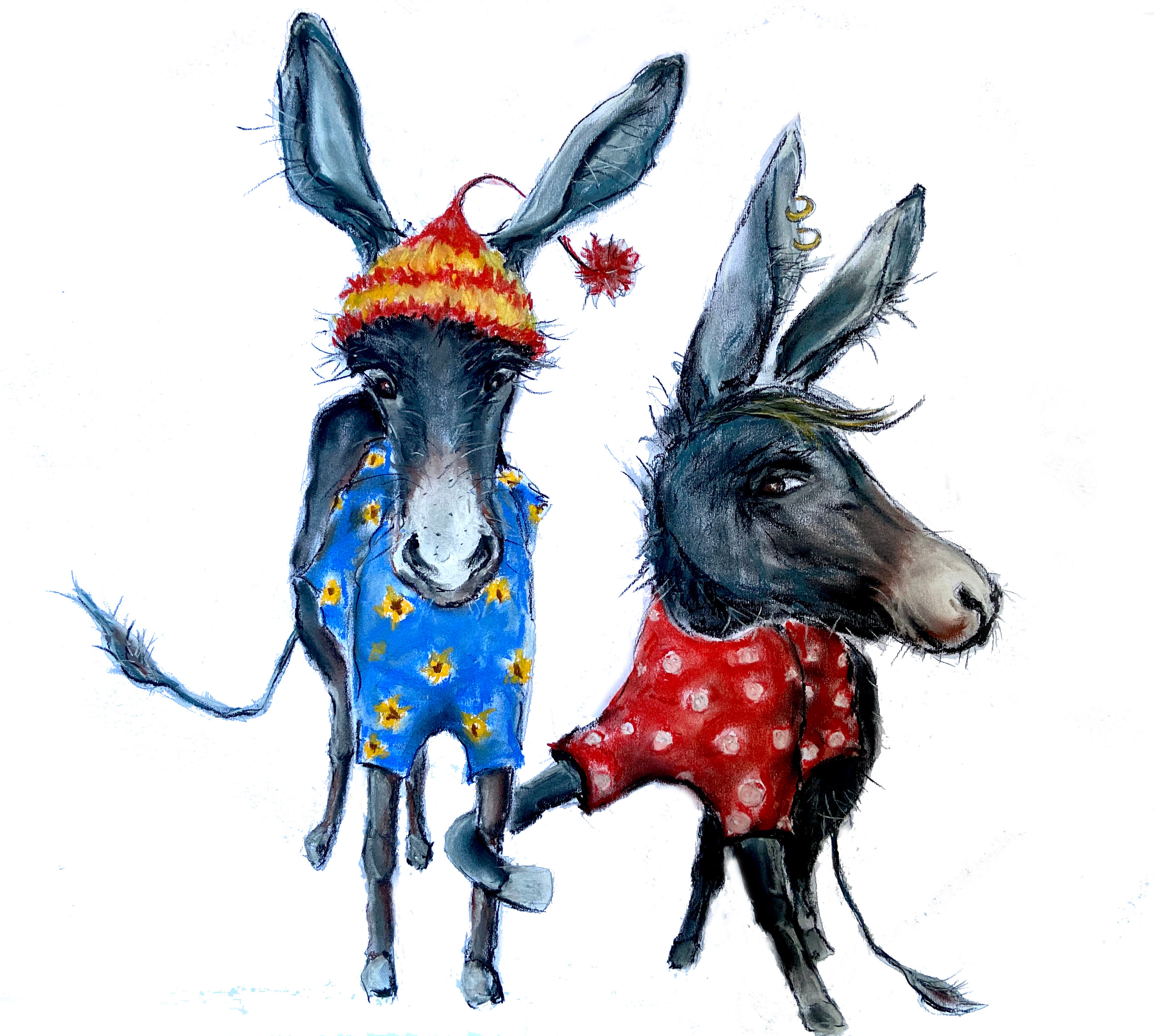 i Ciuchi (non Ciucchi)