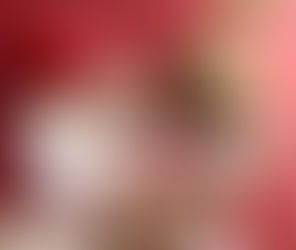 「月刊 石垣」2018年1月号に掲載されました