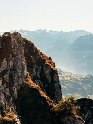 Wirtschaft über den Berg?