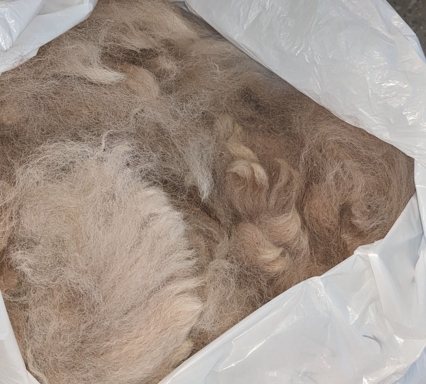 Premium Raw, Unwashed Alpaca fiber, Doe