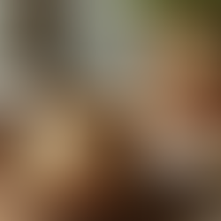 Discover the Power of Naturopathic Healing in Europe