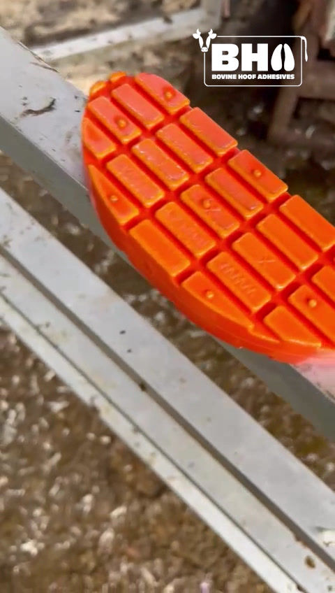 Thumbnail: XXL TP block H18, Blue TP 110