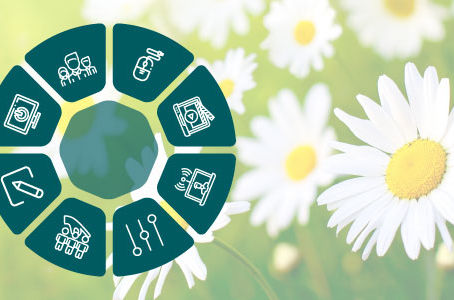 #1 of 10 Top Features of KLIK Boks HUB: Meet "The Daisy"
