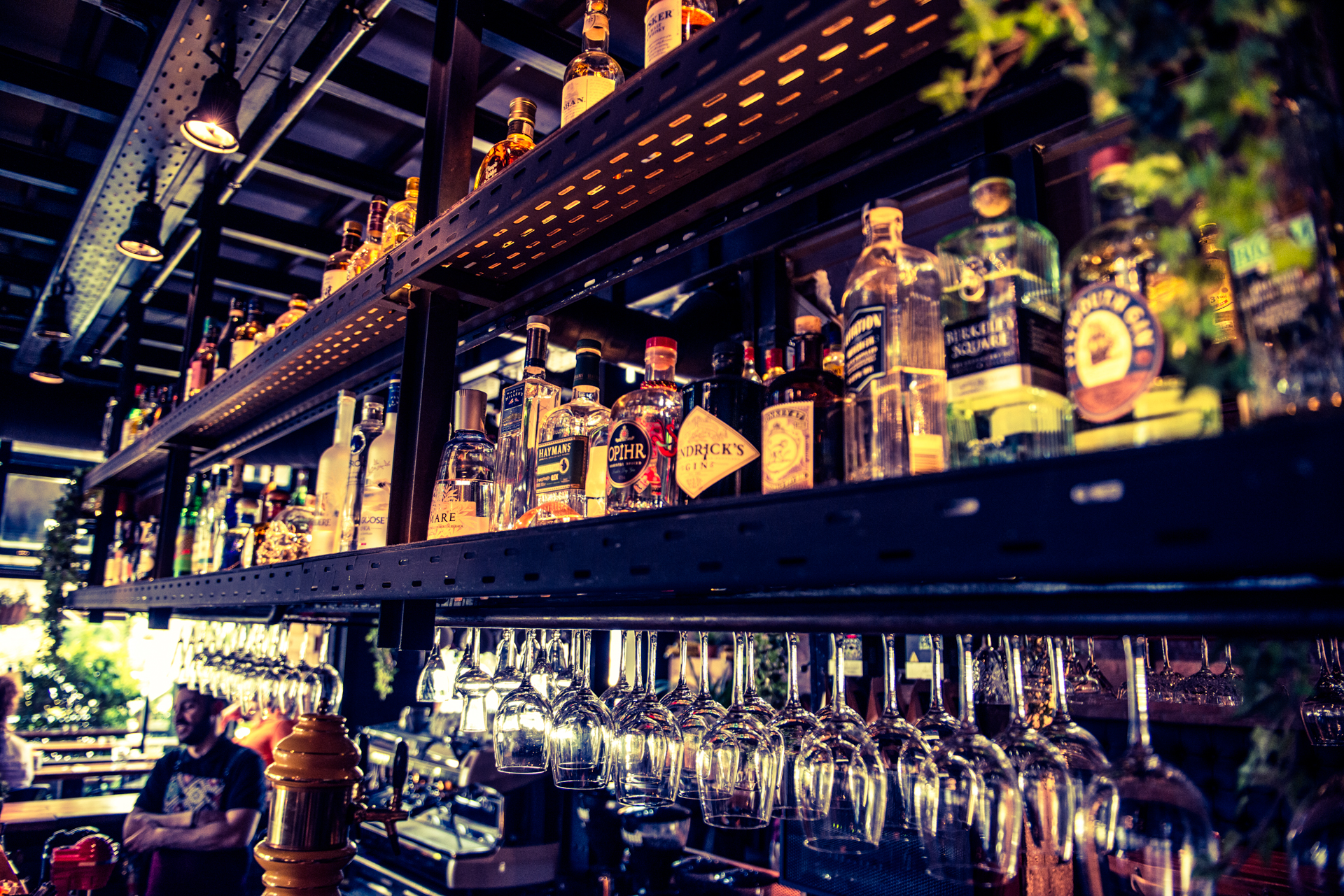 Arranged Food and Objects