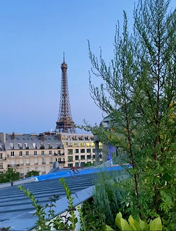 Goku Rooftop paris Musee Guimet