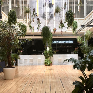 Les salles de sport qui proposent des cours gratuits sur le web