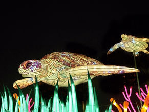 Espèces en voie d’illumination au Jardin des Plantes