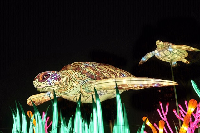 Espèces en voie d’illumination