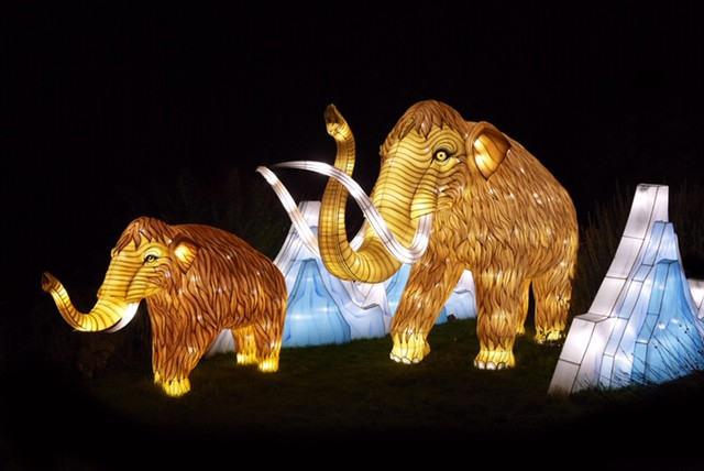 Espèces en voie d’illumination Jardin des Plantes