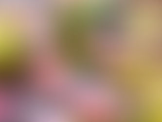 MOB Hôtel : un havre de paix caché à quelques mètres des Puces de Saint-Ouen