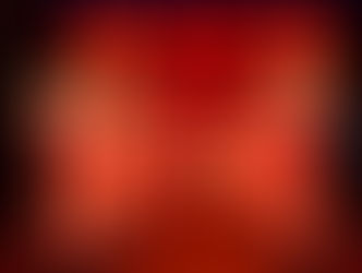 Le Japon en Lumieres au jardin d'acclimatation