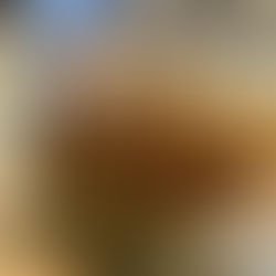 Réouverture du Musée national de la Marine au Palais de Chaillot