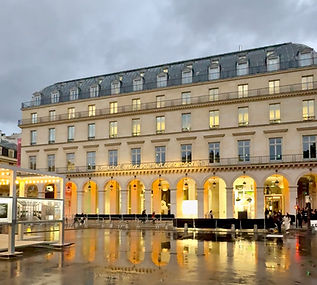 Fondation Cartier Palais Royal