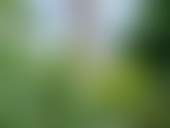 Visite de la Tour Saint Jacques à Châtelet avec vue imprenable sur Paris