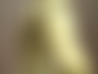 Exposition "Cheval en majesté – Au cœur d'une civilisation" au Château de Versailles