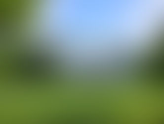 Les Journées Particulières LVMH