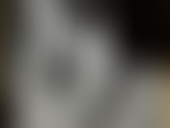 expo edward weston Mep Paris