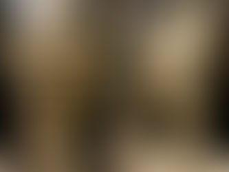 Exposition "Le Goût de la Renaissance" à l'Hôtel de la Marine - Collection Al Thani