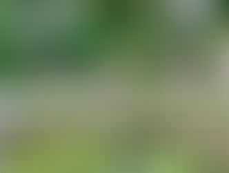 Le charmant Café Renoir