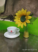offerta caffe pisa