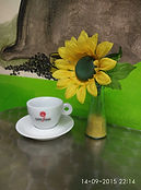 offerta caffe pisa