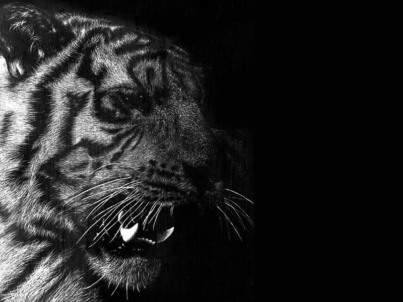 Scratch