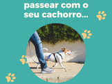 Não Adianta Passear com seu Cão