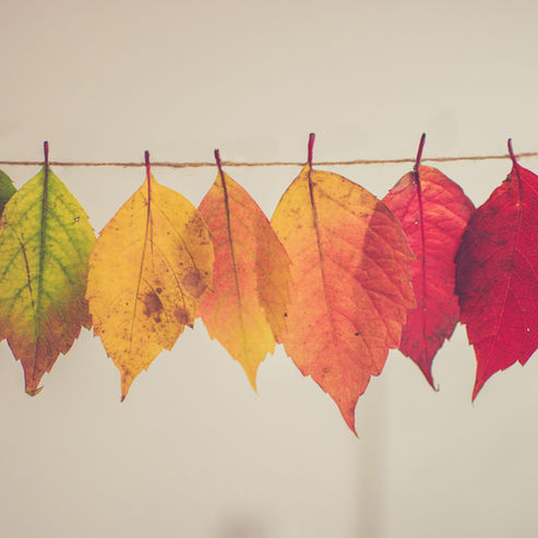Les transitions de vie, quand tout change et qu'on ne sait plus où se poser