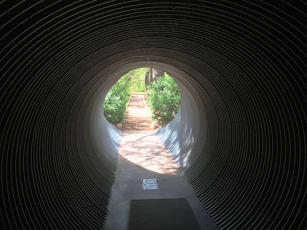 Rio Grande Nature Center