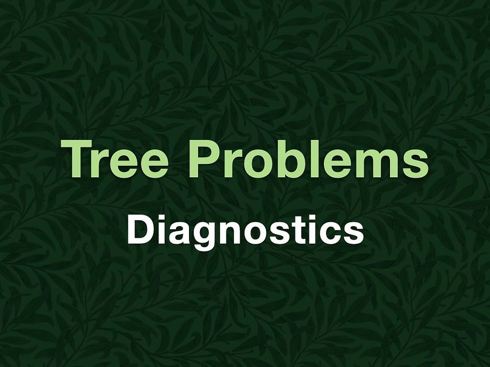 Tree Problem Diagnostics.001.jpeg