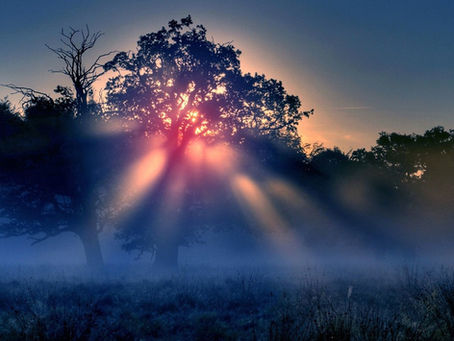 Feeling Foggy