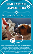 dean telano's animal reiki textbook