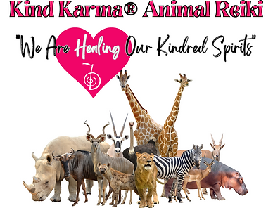 KK Animal Reiki - 7 (1050 × 800 px) (3).png