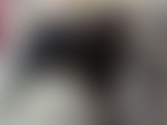 Intracranial lesions in the central nervous system in sheep and goats