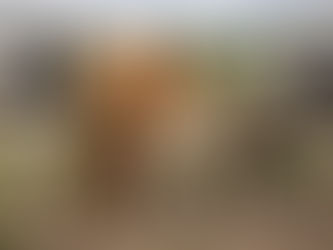 Urinary system disorders in cows and calves