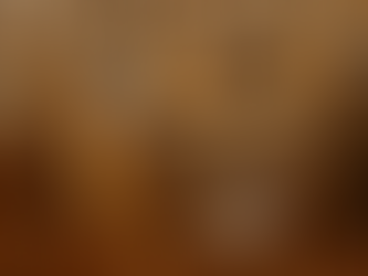 Diseases of the male in sheep and goats, disorders of the penis and foreskin