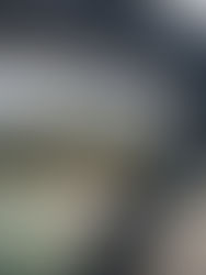 Exploring Canmore and Banff