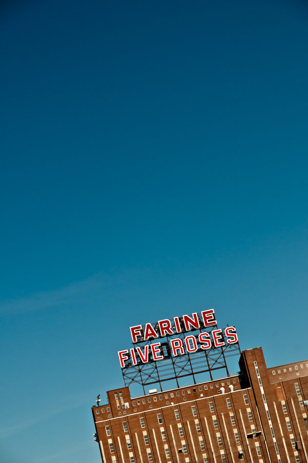 Five Roses Club portraits of five roses