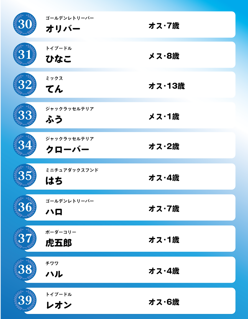 ステイチャレンジランキング2026　フェーズ1　04.png
